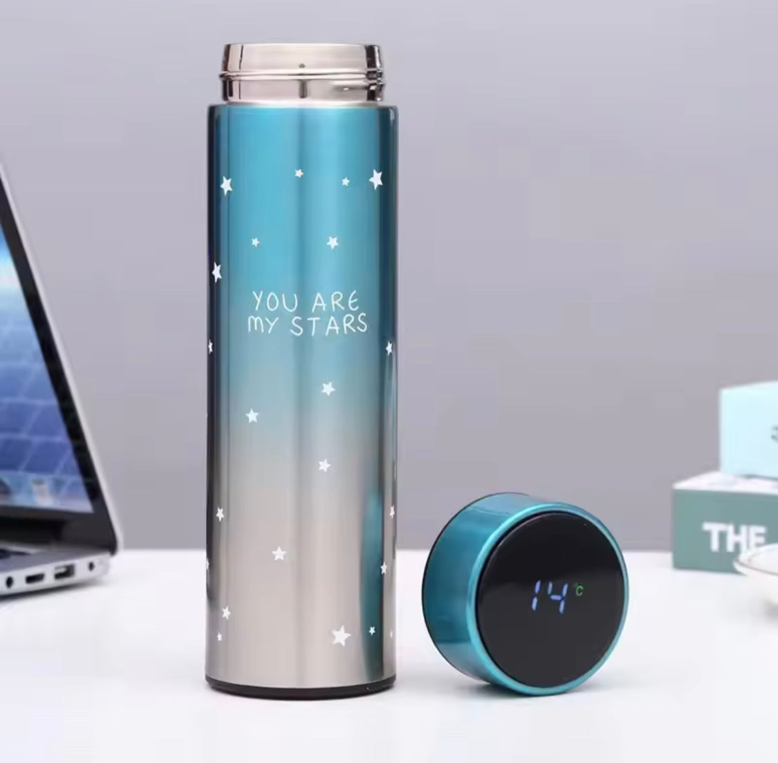 500ML LED Temperature Display Bottle, Stainless Steel Intellective Thermos with Double Bottom