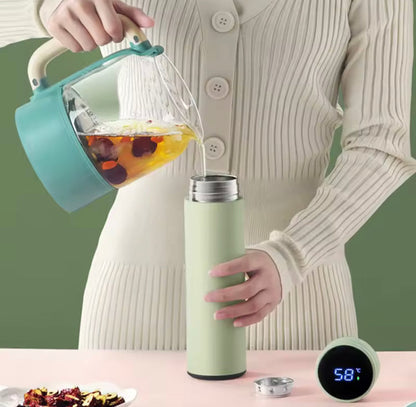 500ML LED Temperature Display Bottle, Stainless Steel Intellective Thermos with Double Bottom